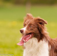 18109825_1319342934770377_509150783_n