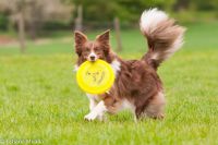 18119797_1319341934770477_225007604_o