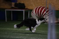 919328_741956335818386_753517704_o