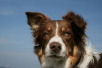 10012931_10152347439669345_7133989642794894496_o