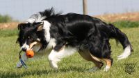 IMG_1587