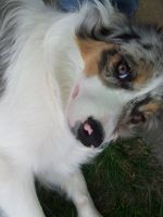 902560_10201268121697170_1936658996_o